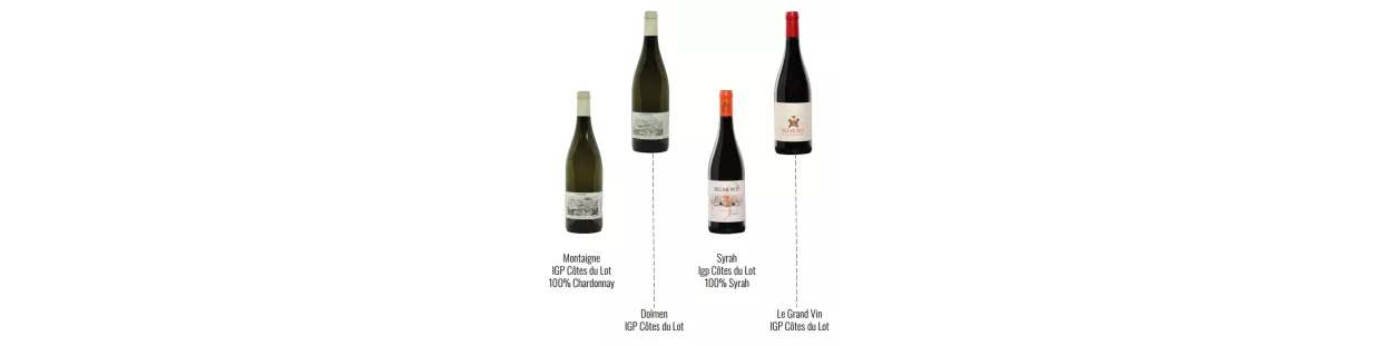 Domaine BELMONT