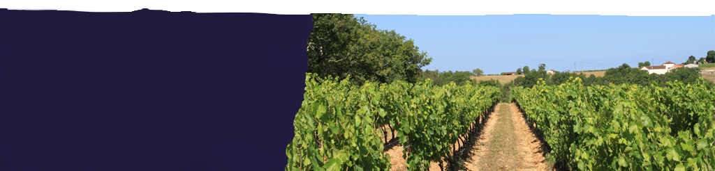 Offer Banner